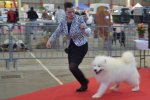 Meilleur de Race Liomoges 2016